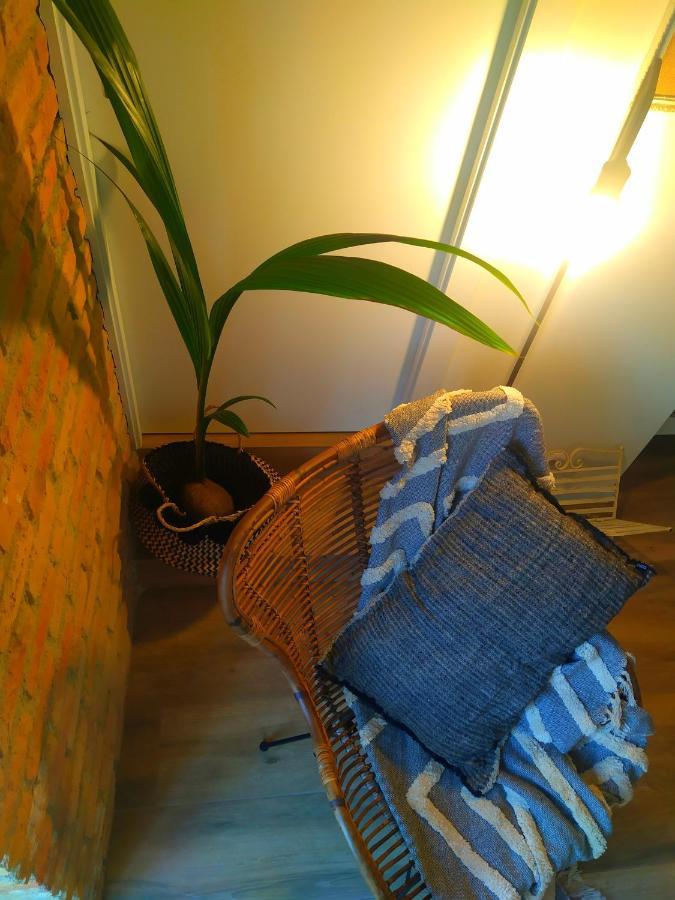Arrels Apartaments L'Ampolla Eksteriør billede